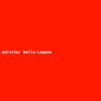 Adretter Wolle-Lappen