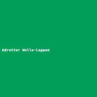 Adretter Wolle-Lappen
